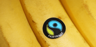 Fairtrade Fortnight: food for thought for kids