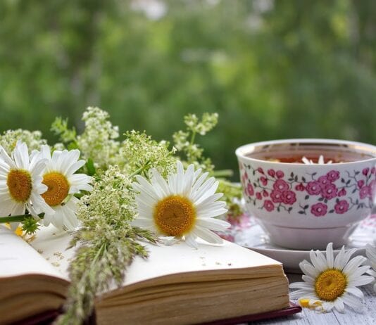 5 Herbal Teas To Improve Health & Wellness