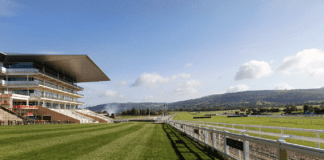 Four favourites it is hard to look past at the upcoming Cheltenham Festival
