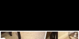 Pro Carpet Cleaning Swansea is Setting New Standards in the Carpet & Upholstery Cleaning Industry of the UK