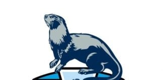 Narberth RFC Score Bronze Standard