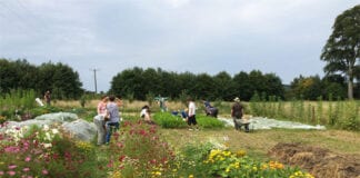 Composting, planting and solar panel projects supported by Park Authority’s Sustainable Development Fund