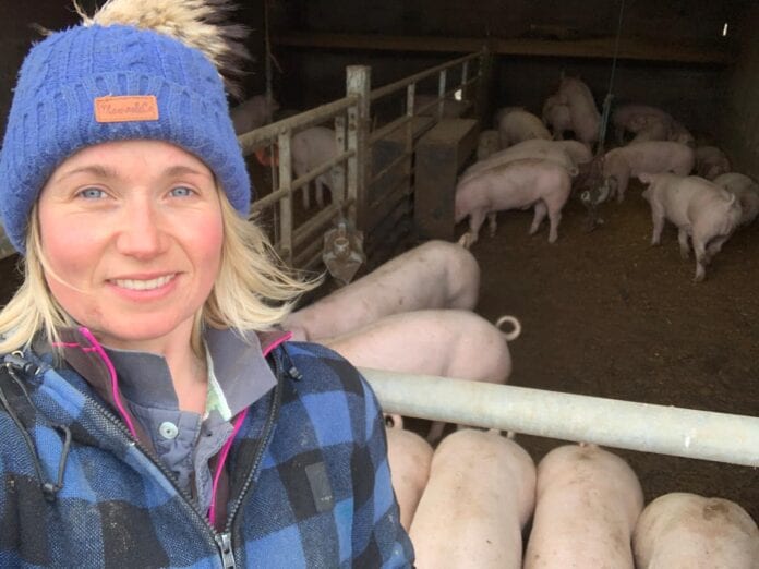 Gwenno with pigs