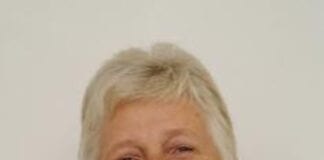 Long-serving councillors set for ambassadorial role