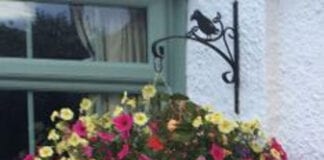 Blooming lovely way to brighten your summer