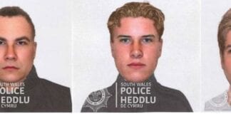 Attempt robbery of a dog owner: Investigation update