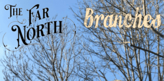 New single release – THE FAR NORTH – ‘Branches’ – Released on Friday 26th March 2021