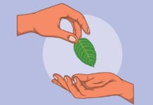 Why Should You Opt For Kratom To Tackle Diabetes?