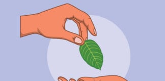 Why Should You Opt For Kratom To Tackle Diabetes?