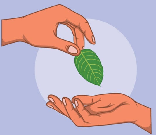 Why Should You Opt For Kratom To Tackle Diabetes?