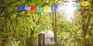 Welsh government gives go-ahead for a pop-up summer