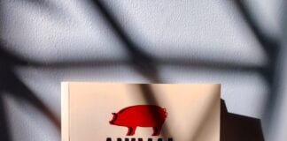 Animal Farm voted the nation’s favourite school book