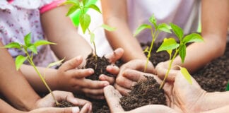 Become a Force for Nature with the Pembrokeshire Coast National Park Trust