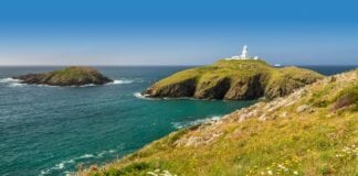 Partneriaeth elusennol newydd yn camu ymlaen