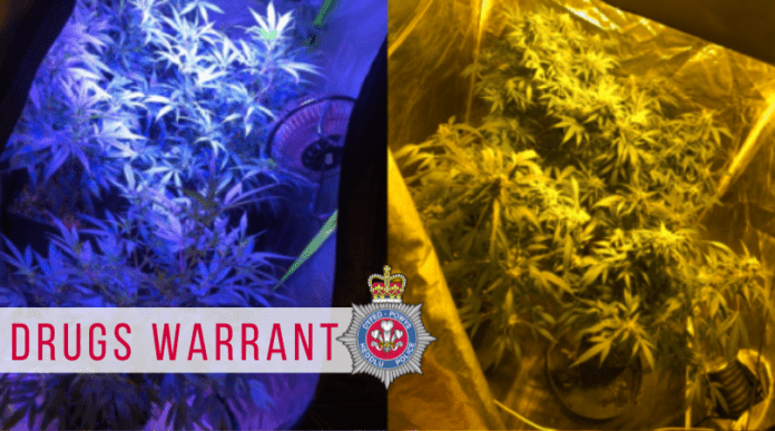 BP and Kidwelly warrant