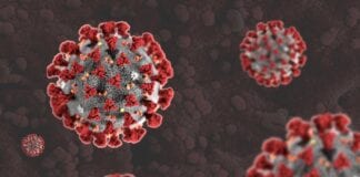 COVID-19 Research: Project investigating long-term effects of COVID-19 on the heart is awarded grant by national charity Heart Research UK