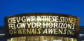 Welsh Government must step up to support arts sector – Plaid Cymru