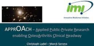 New publication from the European consortium APPROACH describes the experiences and lessons learned from involving osteoarthritis patient representatives in research projects