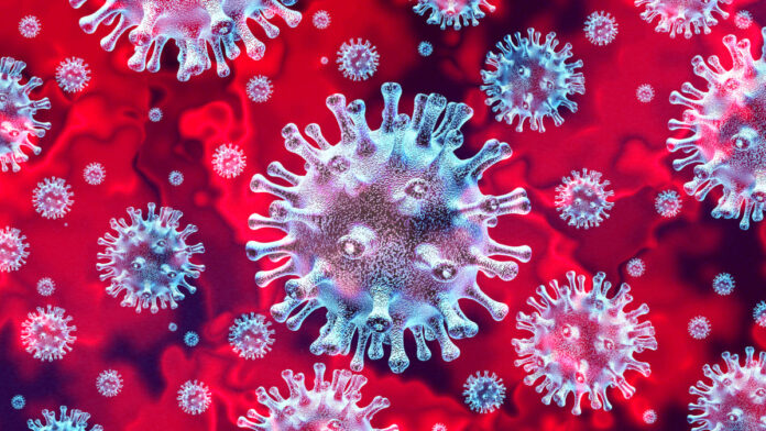 covid-cells-5