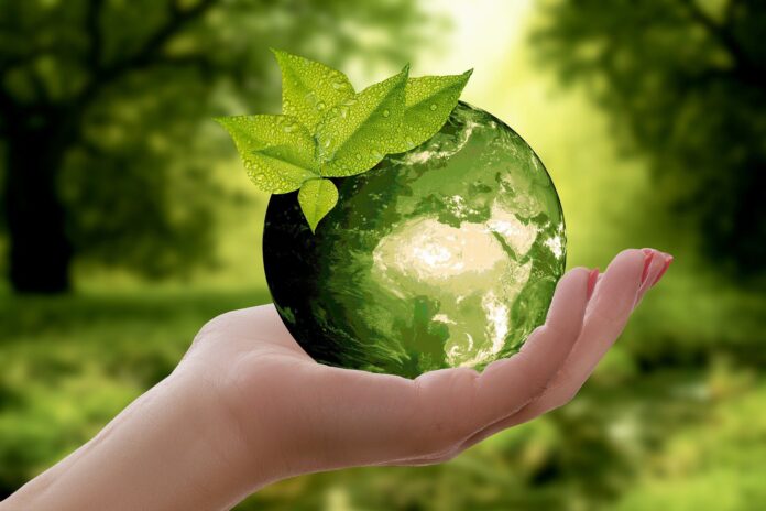environment-nature-sustainability