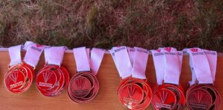 Welsh Road Relays