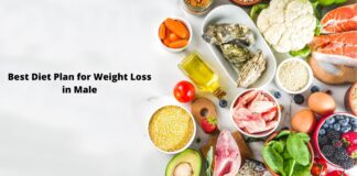 Best Diet Plan for Weight Loss in Male