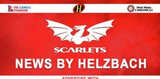 Scarlets Tame The Lions With Bonus Point Victory