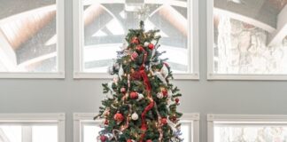 Expert reveals the secrets to keeping your Christmas tree looking perfect all Christmas