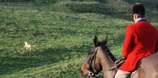 It’s official! National Trust board ends ‘trail’ hunting