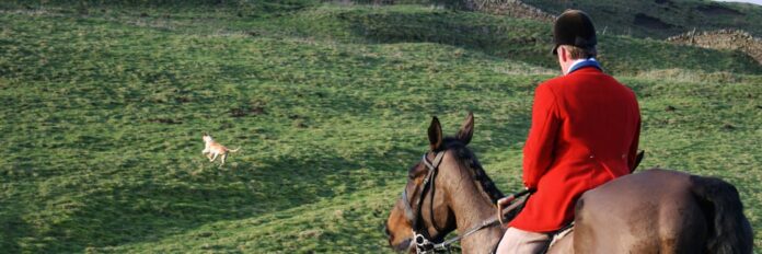 banner-hunter-right-1044w