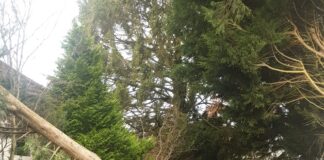 Train services continue to be affected in aftermath of storm of Storm Arwen