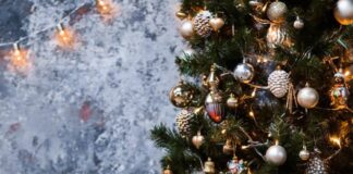 Christmas Trees: Experts explain how to keep your Christmas tree fresh throughout the festive season