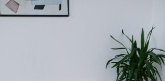 A guide to PMS symptoms without the period