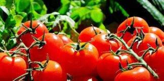 New research from World Cancer Research Fund (WCRF) reveals that 97% of Brits already own the foods that could help to prevent cance