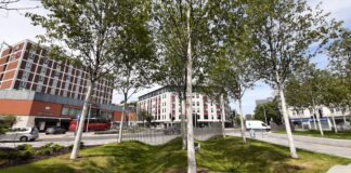 Swansea’s new-look Kingsway has won international recognition for its focus on sustainability.