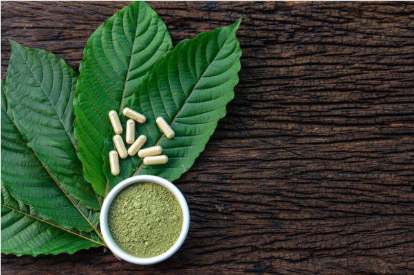 Does-Kratom-Have-Any-Calories-3
