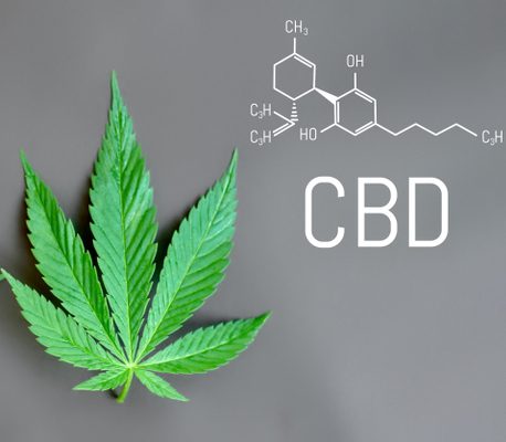 CBD-vs.-THC