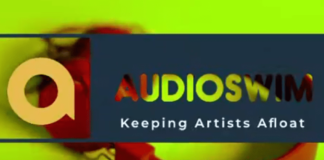 Empowering Music Fans – The AudioSwim Ecosystem