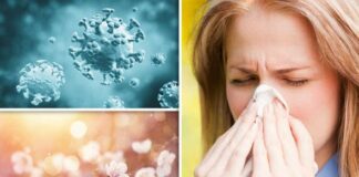 CHEMIST4U REVEALS THE UK’S HAY FEVER CAPITALS