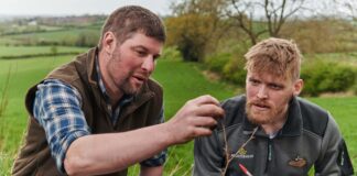 Morrisons employs tree advisors to help UK farmers meet planting targets
