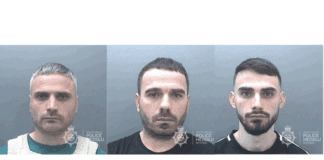 Three brothers have been jailed for drug offences