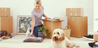 Expert shares four tips to make moving home with your pet stress-free