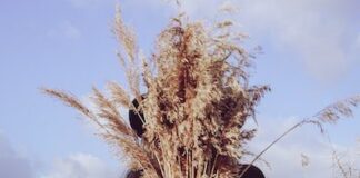 5 Ways to Combat Your Hay Fever Throughout the Year