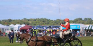 Date set for Pembrokeshire County Show 2023 & thanks given to all those who supported this year’s event