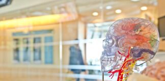 Brain Injury Laws: When to Take Legal Action In New Jersey