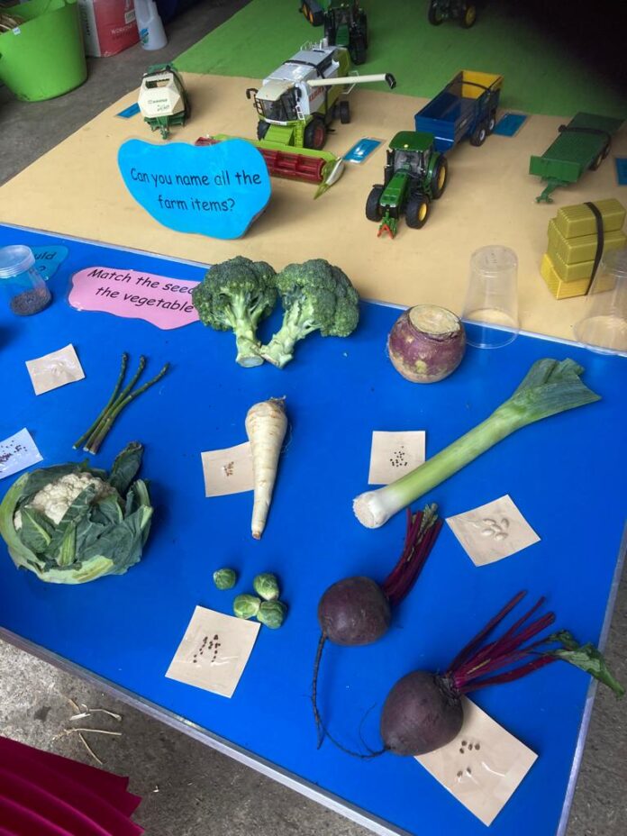 Food-Story-display-2-min