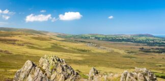 Prosiect dehongli archaeoleg yn rhoi hwb i safleoedd treftadaeth lleol a’u cymunedau