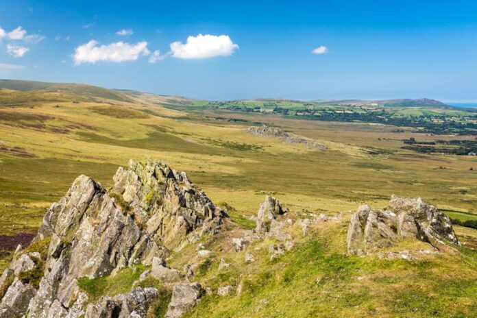 Small-Foel-Drygarn-002-min