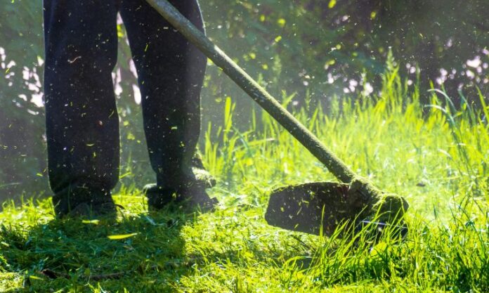 Grass-cutting-stock