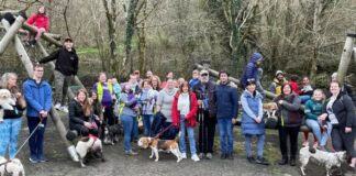 Risca Comprehensive To Host Walkies For Autism